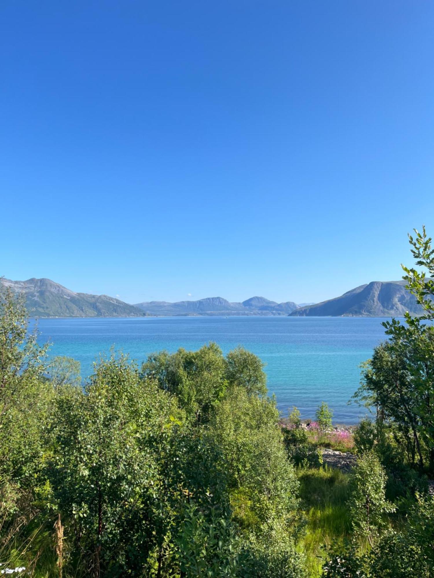 Fantastic View, Quiet And Relaxing By The Sea Villa Kvaloya Kültér fotó